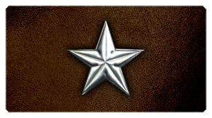 DSC700 430 SL BR Star Silver Brown